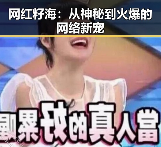 网红籽海：从神秘到火爆的网络新宠