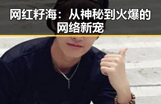 网红籽海：从神秘到火爆的网络新宠