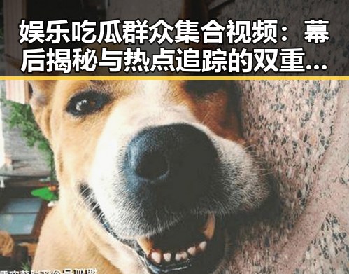 娱乐吃瓜群众集合视频：幕后揭秘与热点追踪的双重吸引
