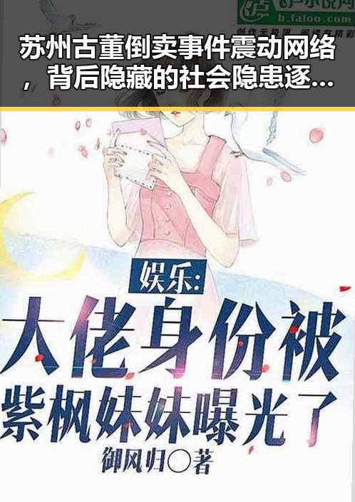 苏州古董倒卖事件震动网络，背后隐藏的社会隐患逐渐浮出水面